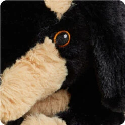 Dachshund Warmies 10 Dachshund Warmies -Warmies CP DAS 1 Daschund 05 06688247 eee6 4c48 8cef 3bbcaa6ad90b