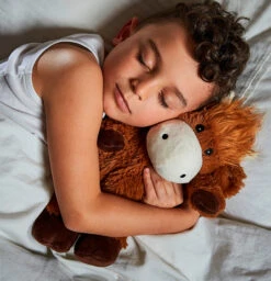 Warmies Highland Cow Cozy Plush Microwavable Toy 19 Warmies Highland Cow Cozy Plush Microwavable Toy -Warmies Highland Cow ls 35976.1695119196