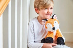 Warmies Fox Cozy Plush Microwavable Toy 12 Warmies Fox Cozy Plush Microwavable Toy -Warmies Lady Fox 042 new 98489.1562085000