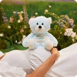 Baby Boy Bear Warmies 13 Baby Boy Bear Warmies -Warmies Warmies Q1 Lifestyle GrantPuckett11859 Retouch