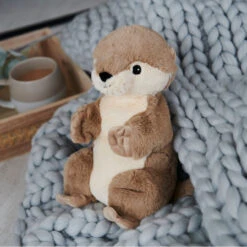 Warmies Otter Cozy Plush Microwavable Toy 15 Warmies Otter Cozy Plush Microwavable Toy -Warmies WarmiesOtter Cozy Plush Toy LS1 63452.1695124903
