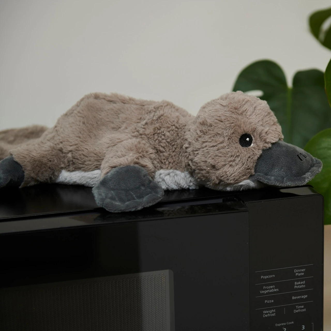 Warmies Platypus Cozy Plush Microwavable Toy 9 Warmies Platypus Cozy Plush Microwavable Toy - Image 9
