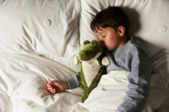 Warmies Alligator Cozy Plush Microwavable Toy 19 Warmies Alligator Cozy Plush Microwavable Toy -Warmies Warmies Alligator 11 web 75725.1635790682