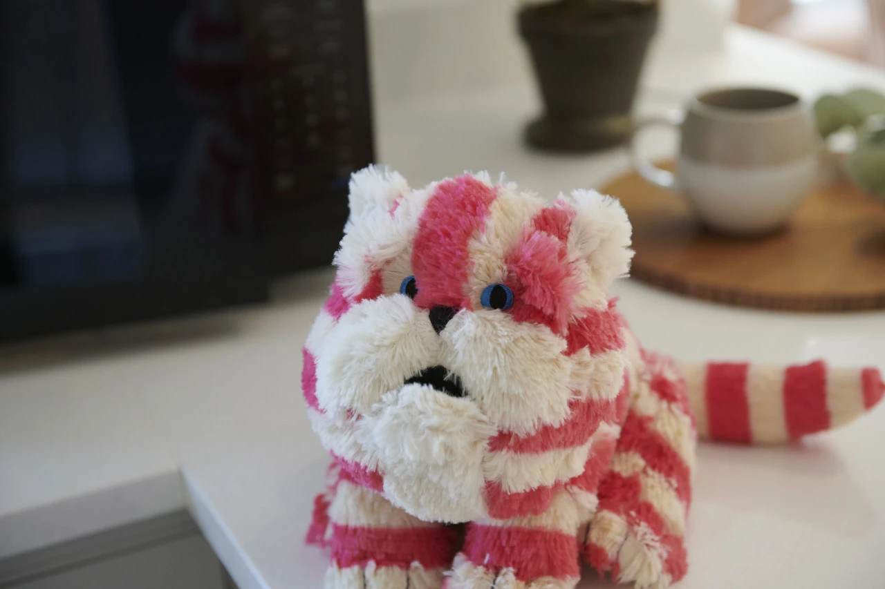 Warmies Bagpuss® Cozy Plush Microwavable Toy 5 Warmies Bagpuss® Cozy Plush Microwavable Toy - Image 5