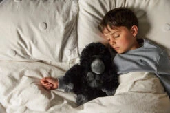 Warmies Gorilla Cozy Plush Microwavable Toy -Warmies Warmies Gorilla 5 web 82191.1635789934