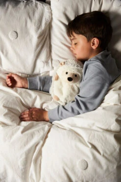 Warmies Beige Hedgehog Cozy Plush Microwavable Toy 17 Warmies Beige Hedgehog Cozy Plush Microwavable Toy -Warmies Warmies Hedgehog 5 WEB 92069.1695122406