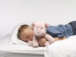 Warmies Pig Cozy Plush Microwavable Toy -Warmies Warmies Pig 1 web 66860.1695121936