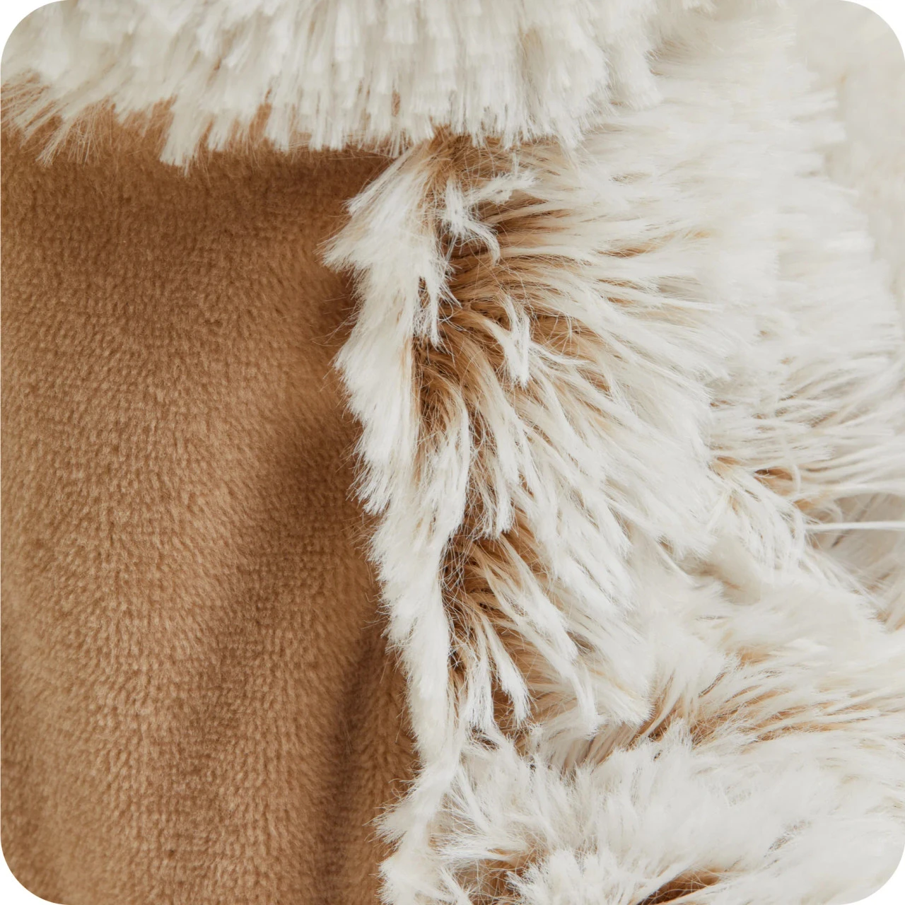 Warmies Seal Cozy Plush Microwavable Toy 9 Warmies Seal Cozy Plush Microwavable Toy - Image 9