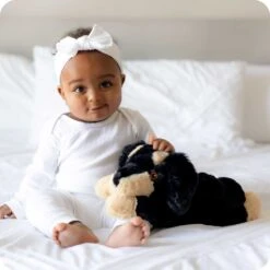 Dachshund Warmies 11 Dachshund Warmies -Warmies Warmies USA 20232