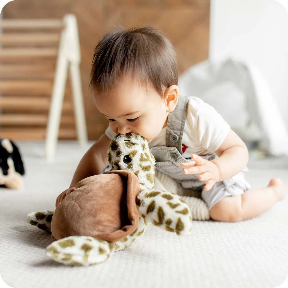 Turtle Warmies 7 Turtle Warmies - Image 7