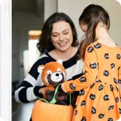 Red Panda Warmies 11 Red Panda Warmies -Warmies Warmies USA 202351