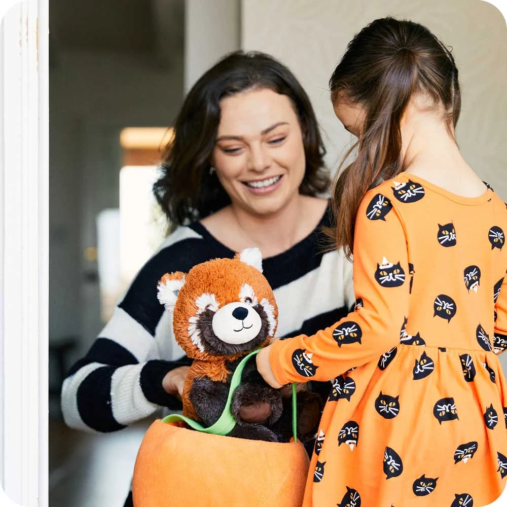 Red Panda Warmies 6 Red Panda Warmies - Image 6