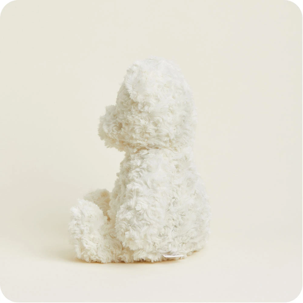 Cream Curly Bear Warmies 4 Cream Curly Bear Warmies - Image 4